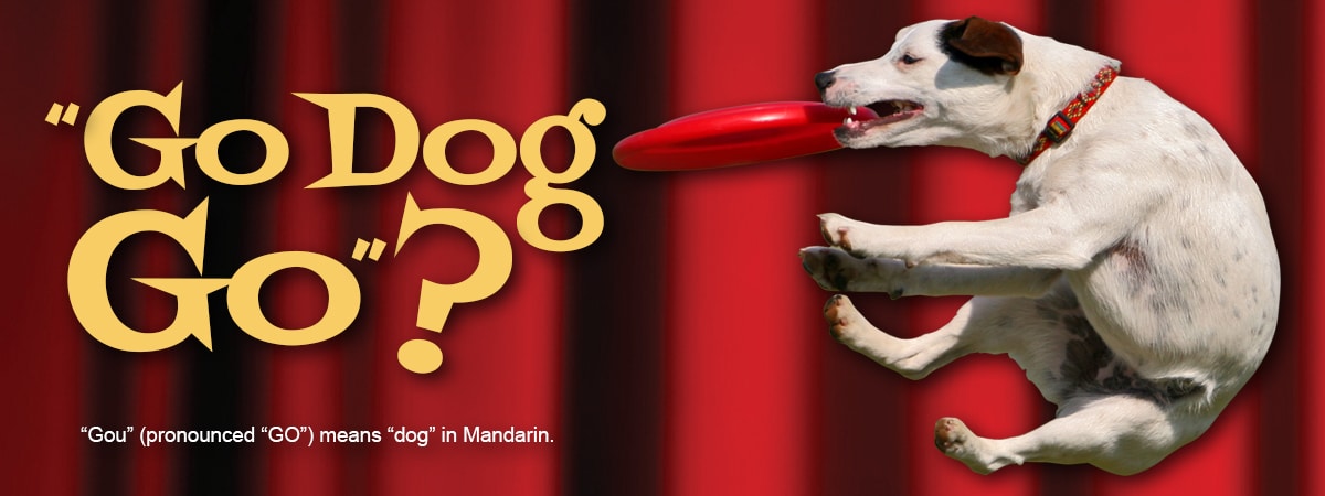 "Go Dog Go?" - "Gou" (pronounced "Go") means "dog" in Mandarin.